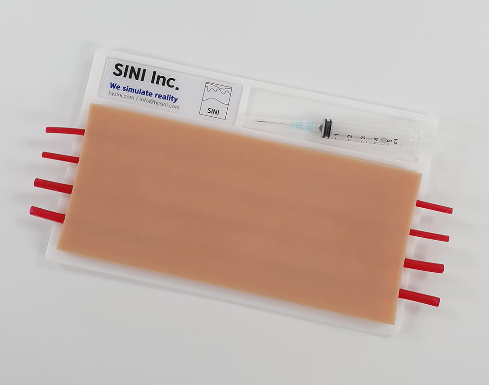 Intravenous Injection Four Vein Trainer Sini Medical Simulation